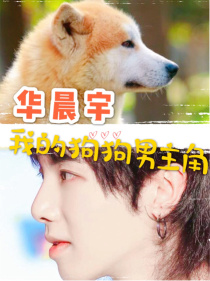 小说《华晨宇：我的狗狗男主角》TXT下载_华晨宇：我的狗狗男主角