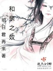 男主女主是湘莲,慕蓉,萧琳的小说是什么_和亲之奴