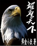 “好了，大家都安静一下！今天的晨会我除了业绩通报以外，还要向大家宣导一下公司最近出的奖励计划！”杜经_雄鹰天下