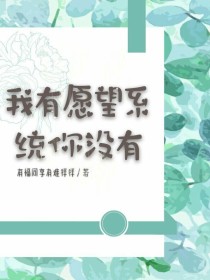 叶辰叶子恒《我有愿望系统你没有》_我有愿望系统你没有