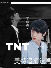 小说《TNT：美特追捕法则》TXT百度云_TNT：美特追捕法则