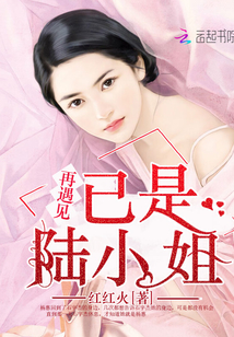 男主女主是杨惠,石宇杰,陆敏敏的小说是什么_再遇见已是陆小姐