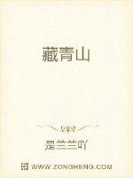 藏海小说免费阅读_藏海