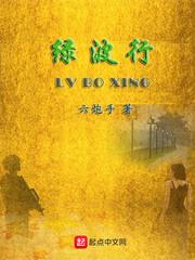 男主女主是雷晓波,林梦雪,赵文龙的小说是什么_绿波行