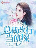 男主女主是倪若楠,倪力扬,乐思菱的小说是什么_总裁改行当侦探