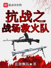 男主女主是李凌,老张,中村的小说是什么_抗战之战场救火队