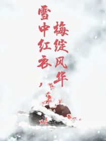 小说《雪中红衣，梅绽风华》TXT下载_雪中红衣，梅绽风华