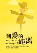 zhuzhu6p的小说到爱的距离_到爱的距离