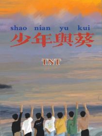 小说《TNT：少年与葵》TXT百度云_TNT：少年与葵