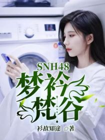 小说《SNH48：梦衿梵谷》TXT百度云_SNH48：梦衿梵谷