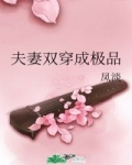 ============《夫妻双穿成极品》作者：凤淡作品简评：曾经经历苦难的夫妻二人，见过人世最险恶_夫妻双穿成极品