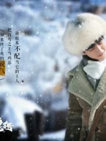 男主女主是张保庆,杨烨,简川的小说是什么_天坑鹰猎之雪国远方