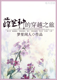 小说《薛芒种的穿越之旅》TXT百度云_薛芒种的穿越之旅