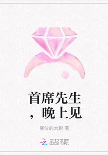 小说《首席先生，晚上见》TXT下载_首席先生，晚上见