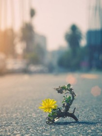 那缓缓飘落的小雨_缓缓日落