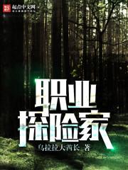 男主女主是王伟,李国峰,赵帆的小说是什么_职业探险家