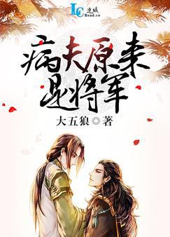 男主女主是沈景黎,穆琛,穆瑾的小说是什么_病夫原来是将军