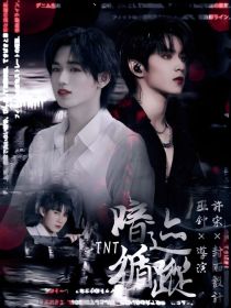 小说《TNT：暗迹循踪》TXT下载_TNT：暗迹循踪