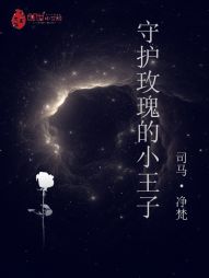 小说《守着玫瑰的小王子》TXT下载_守着玫瑰的小王子