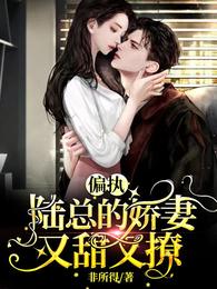 男主女主是沈文兰,苏妍,唐煜的小说是什么_偏执陆总的娇妻，又甜又撩