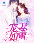 男主女主是顾总,杨岚,肖泽源的小说是什么_宠妻如蜜
