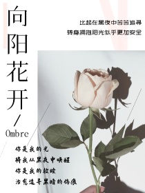 白夜追凶之向阳花开_白夜追凶之向阳花开