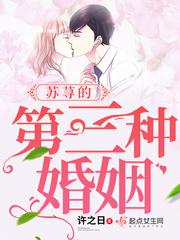 小说《苏荨的第三种婚姻》TXT百度云_苏荨的第三种婚姻