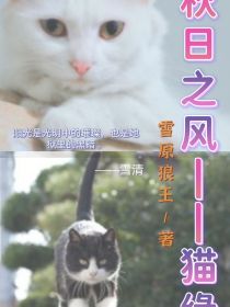 小说《秋日之风——猫缘》TXT百度云_秋日之风——猫缘