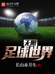 小说《无限足球世界》TXT下载_无限足球世界