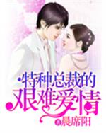 男主女主是汪成峰,廖媛媛,王璐的小说是什么_特种总裁的艰难爱情