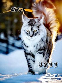 蓝星黛西《猫武士——迷雾重重》_猫武士——迷雾重重