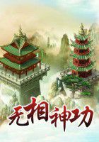 先天无相神功_无相神功