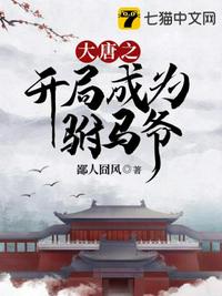 男主女主是林景阳,长孙,李静瑶的小说是什么_大唐之开局成为驸马爷