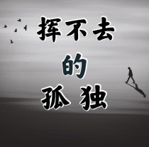 小说《挥不去的孤独》TXT下载_挥不去的孤独