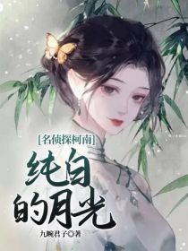 名侦探柯南月光奏鸣曲_名侦探柯南——纯白的月光