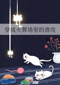 [小说][蕾丝百合]《穿成火葬场里的渣攻》TXT全集下载（全本） 作者：如吾（晋江VIP）  总书评数：60_穿成火葬场里的渣攻