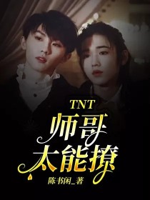 小说《TNT：师哥太能撩》TXT百度云_TNT：师哥太能撩