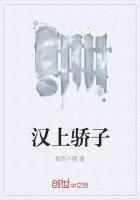 男主女主是刘秀,阴丽华,时宇的小说是什么_汉上骄子