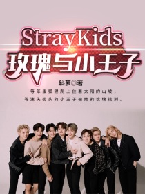 玫瑰与小猫_StrayKids：玫瑰与小王子