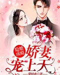 宁宁顾廷琛《隐婚成瘾：娇妻宠上天》_隐婚成瘾：娇妻宠上天