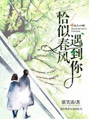 男主女主是冯晨,老刘,张志远的小说是什么_恰似春风遇到你