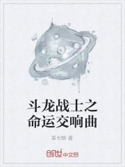 男主女主是时宇,索里,张元清的小说是什么_斗龙战士之命运交响曲