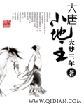 [小说]《大唐小地主》全集  作者：大梦三年 贞观年间，广平郡永年县郊外凭空出现一位奇装异服少年，大唐历史自_大唐小地主