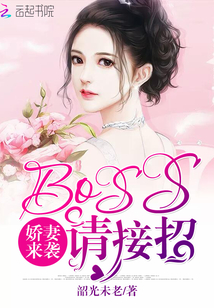 男主女主是容瑾,程墨枫,青阳的小说是什么_娇妻来袭，boss请接招