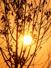 甜甜的夏日_甜甜的夏日