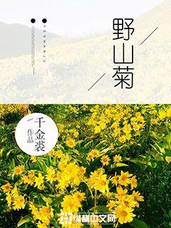 山菊花小说微盘_野山菊