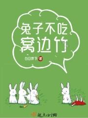 兔子不吃橙_兔子不吃窝边竹