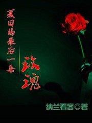 男主女主是张静波,纳兰文轩,纳兰的小说是什么_夏日的最后一朵玫瑰