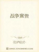 新军，全称“新世纪革命军”主要任务就是拼命发展科技推动国家发展。这种“军队”的横空出世无异于得到“外_战争宣告