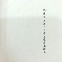 大街上人山人海，灯火通明，处处都是人们的欢声笑语。皇宫特意在可以看见烟花的地方设了宴，款待诸位大臣和_蛊后倾城